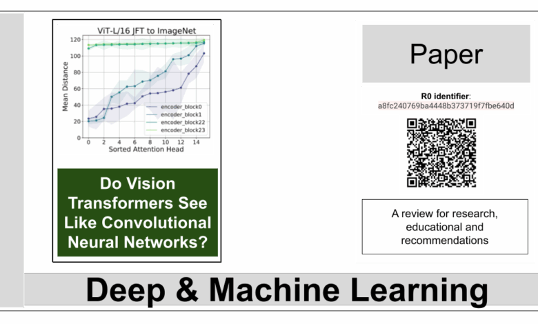 Do Vision Transformers See Like Convolutional Neural Networks? – La Biblia de la IA – The Bible of AI™ Journal
