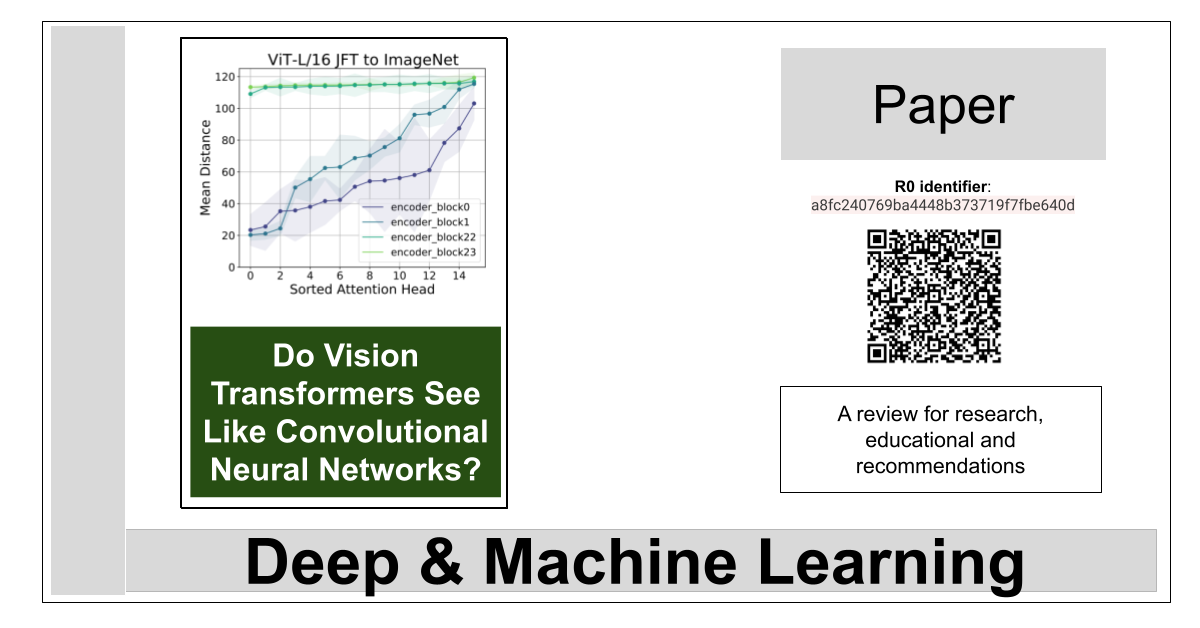 Do Vision Transformers See Like Convolutional Neural Networks? – La Biblia de la IA – The Bible of AI™ Journal