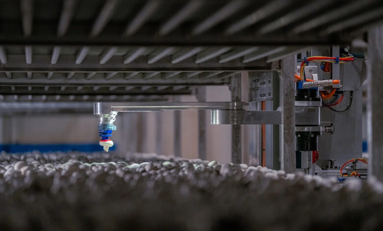 4AG Robotics picks up M for mushroom harvesting robots