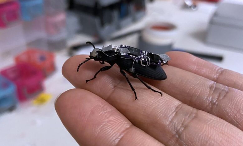 Watch: Cyborg Beetles, Open Source Humanoids, More