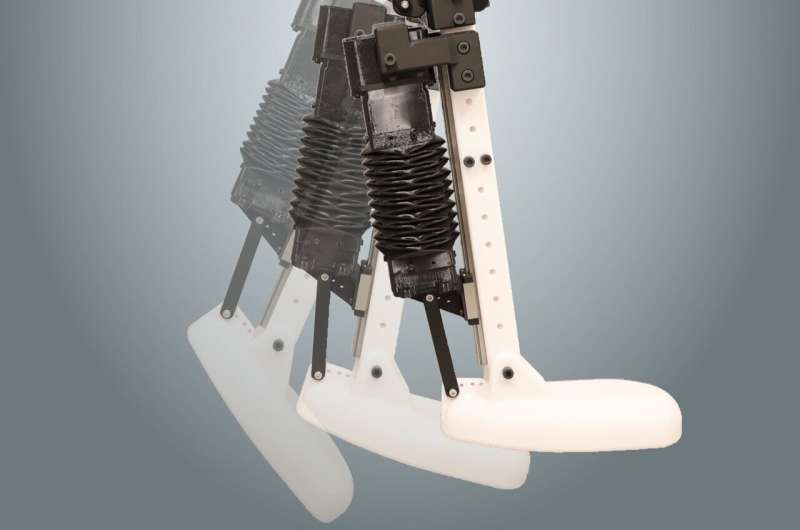 Bioinspired artificial muscles enable robotic limbs to push, lift and kick