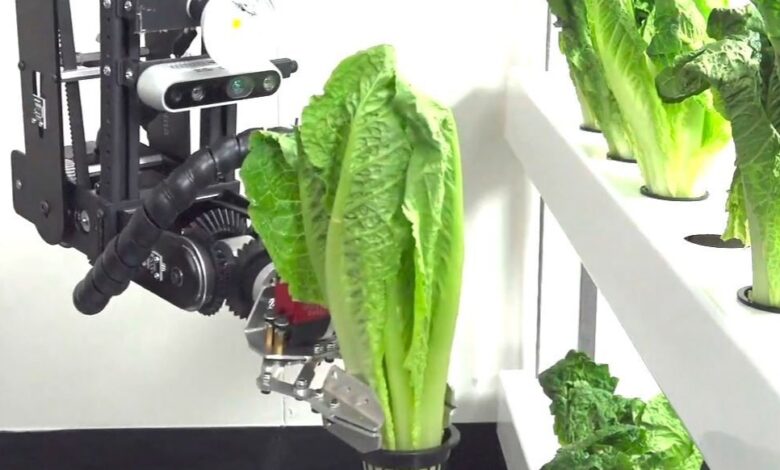 Dorna Robotics for the Food & Beverages Industry