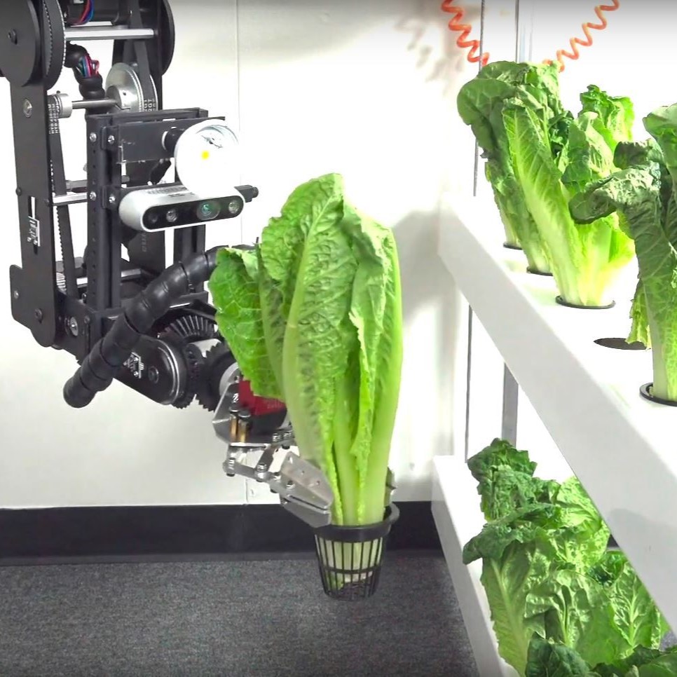 Dorna Robotics for the Food & Beverages Industry