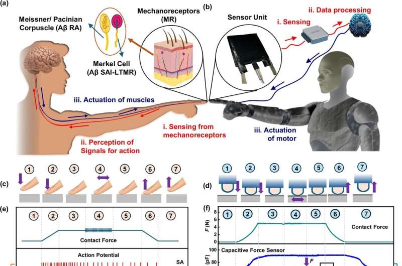 Scientists give robots a sense of touch with fabric that mimics human skin