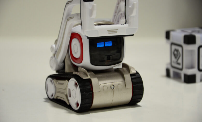 The story of two Companion Robots