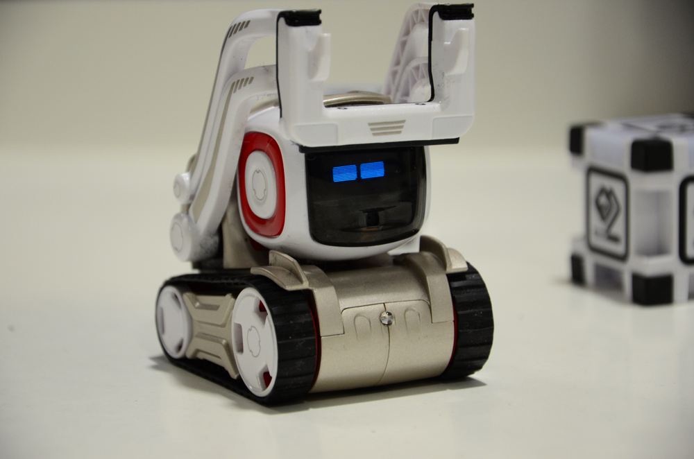 The story of two Companion Robots