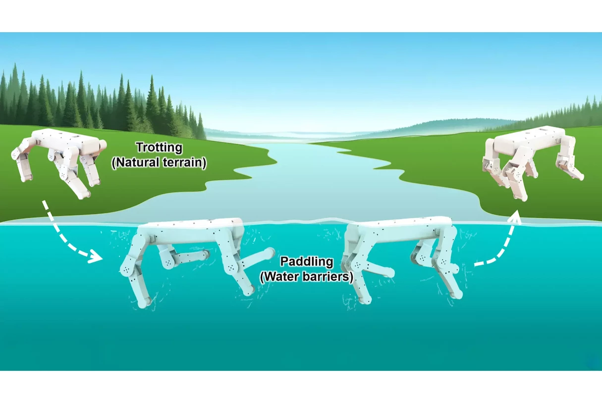 Amphibious robot dog excels in swimming with bioinspired paddling