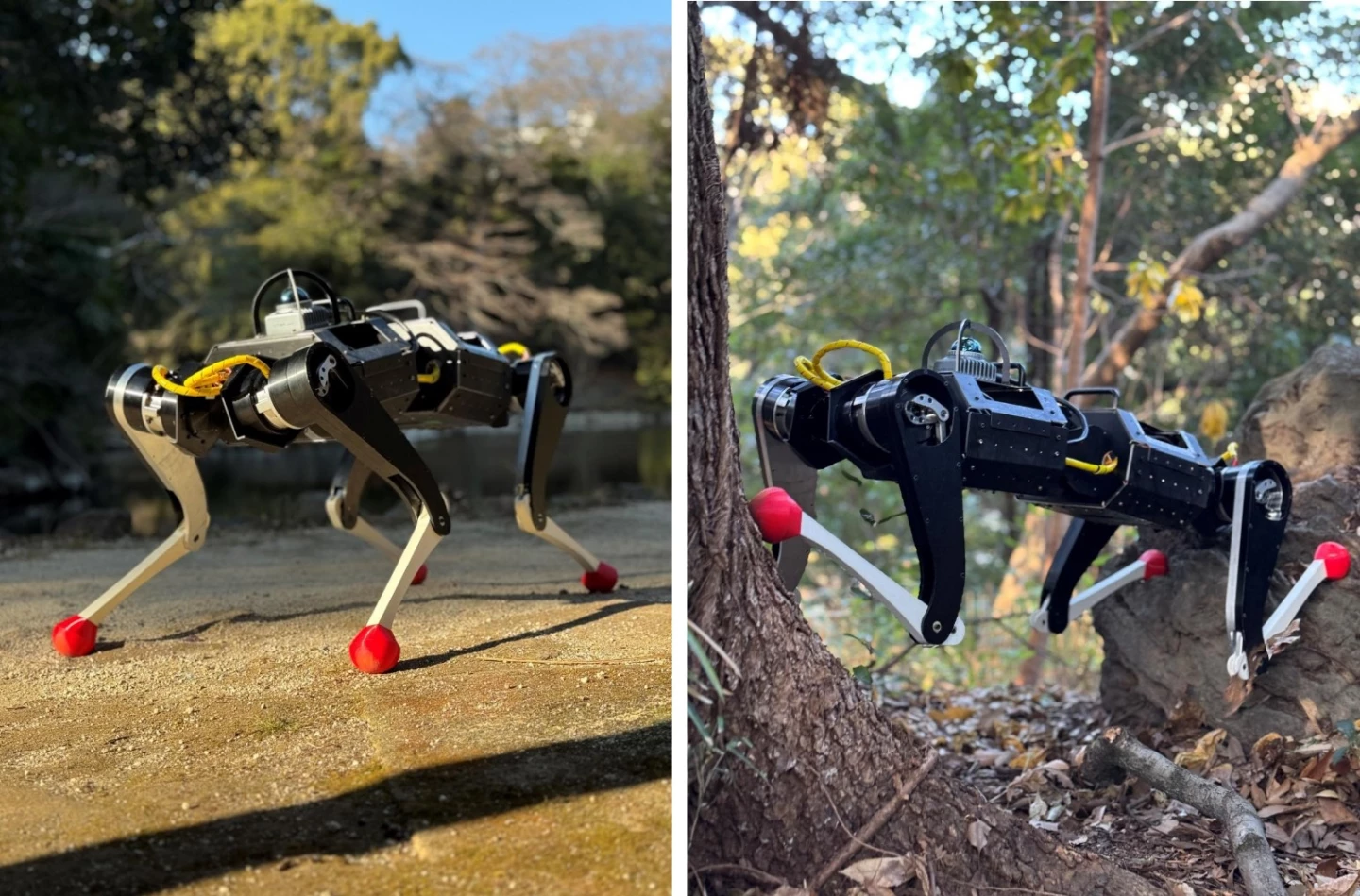 Flexible robodog climbs tight spaces with ease